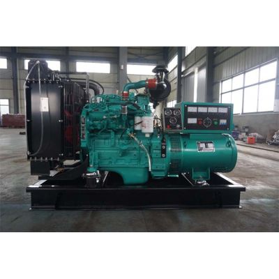 20kw東風(fēng)康明斯柴油發(fā)電機(jī)組-東風(fēng)康明斯4缸柴油機(jī)4B3.9-G1柴油發(fā)電機(jī)組,缸徑/行程：102/120mm,柴油發(fā)電機(jī)組水冷發(fā)動(dòng)機(jī)功率27KW,柴油發(fā)電機(jī)組配套馬拉松斯坦福發(fā)電機(jī)。廠價(jià)直銷歡迎選購(gòu)：13773399855。